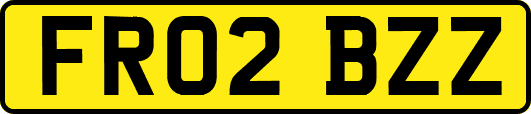 FR02BZZ
