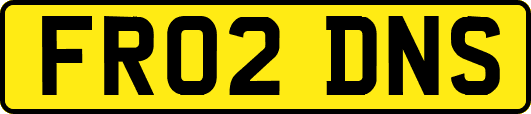 FR02DNS