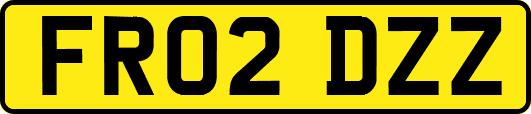 FR02DZZ