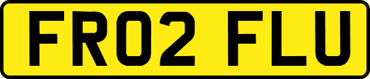 FR02FLU