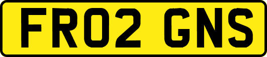 FR02GNS