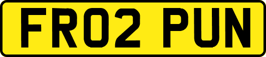 FR02PUN