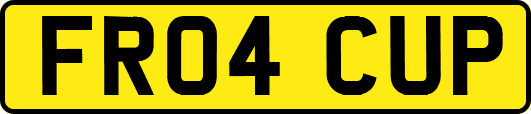 FR04CUP