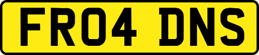 FR04DNS