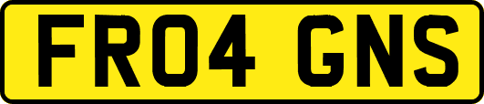 FR04GNS