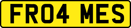 FR04MES