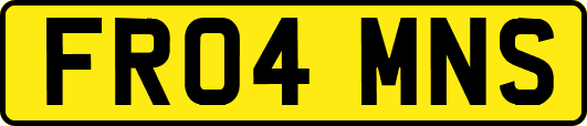 FR04MNS