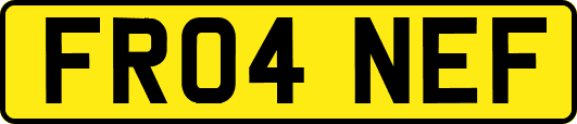 FR04NEF