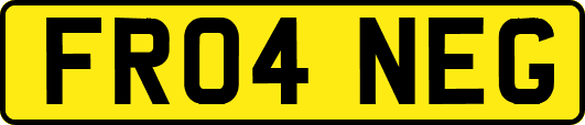FR04NEG