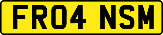 FR04NSM