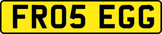 FR05EGG