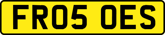 FR05OES