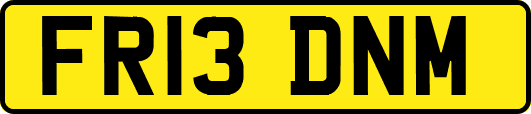 FR13DNM
