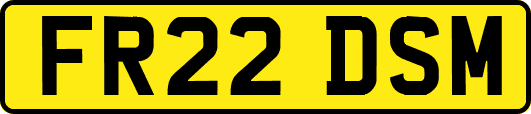 FR22DSM