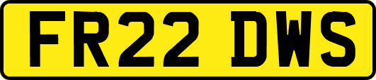 FR22DWS