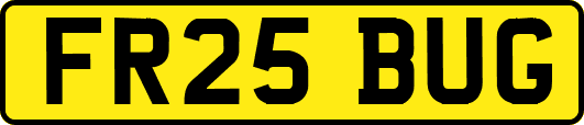 FR25BUG