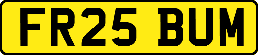 FR25BUM