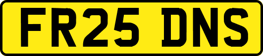 FR25DNS