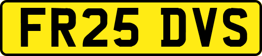 FR25DVS