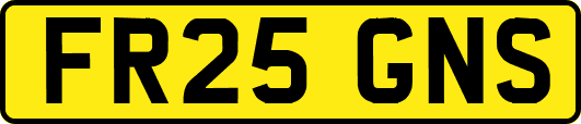 FR25GNS
