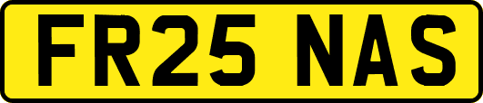FR25NAS