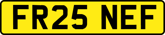 FR25NEF