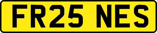 FR25NES