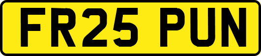 FR25PUN