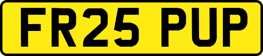 FR25PUP