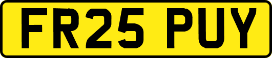 FR25PUY