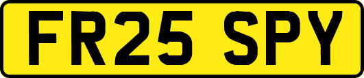 FR25SPY