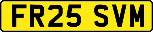FR25SVM