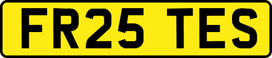 FR25TES
