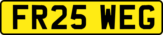 FR25WEG