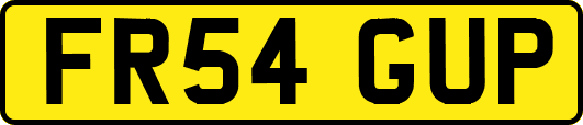 FR54GUP