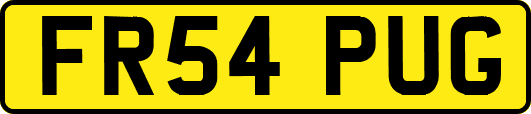 FR54PUG