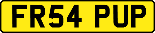 FR54PUP