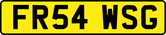 FR54WSG