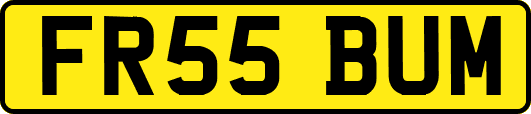 FR55BUM