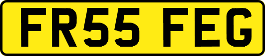 FR55FEG