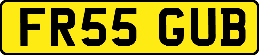 FR55GUB