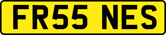 FR55NES