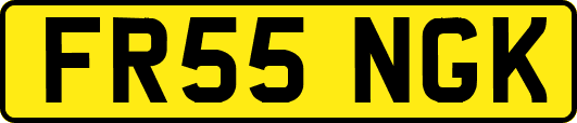 FR55NGK