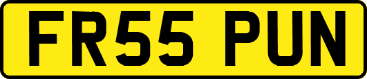FR55PUN
