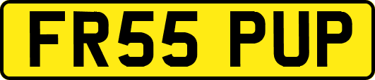 FR55PUP