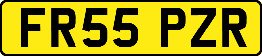 FR55PZR