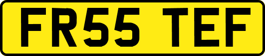 FR55TEF