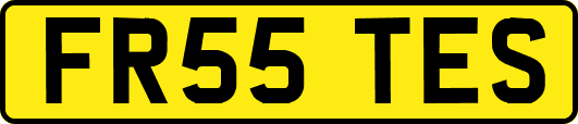 FR55TES