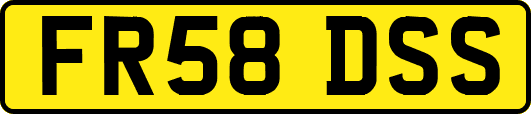 FR58DSS