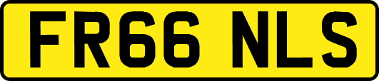 FR66NLS